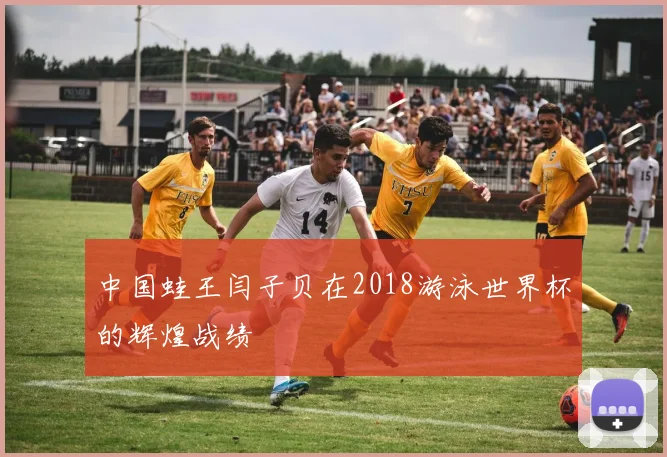 中国蛙王闫子贝在2018游泳世界杯的辉煌战绩