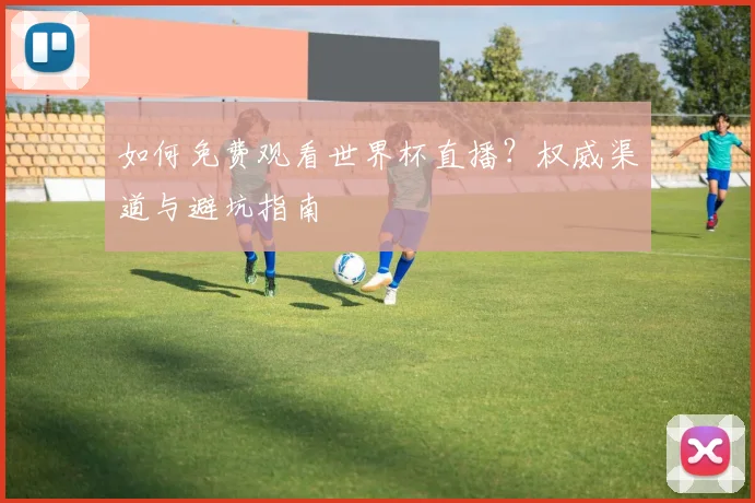 如何免费观看世界杯直播？权威渠道与避坑指南