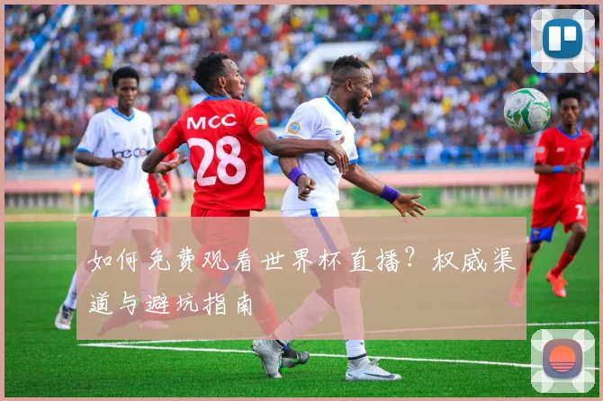 如何免费观看世界杯直播？权威渠道与避坑指南