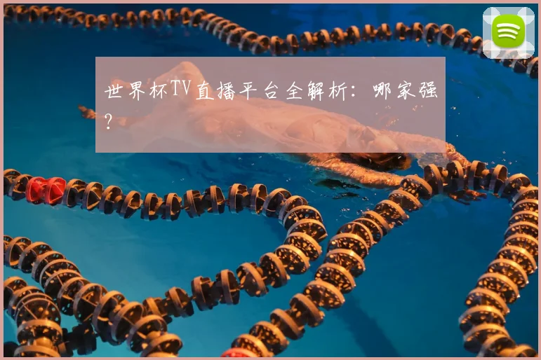 世界杯TV直播平台全解析：哪家强？